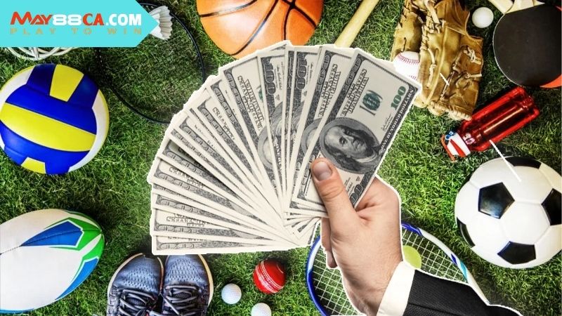 Hệ thống cược được cung cấp sẵn tại Thể Thao May88